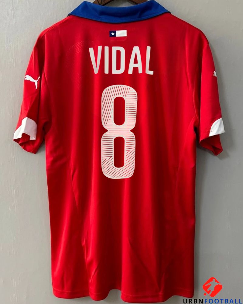 Chile 2014-2015 - Vidal Arturo