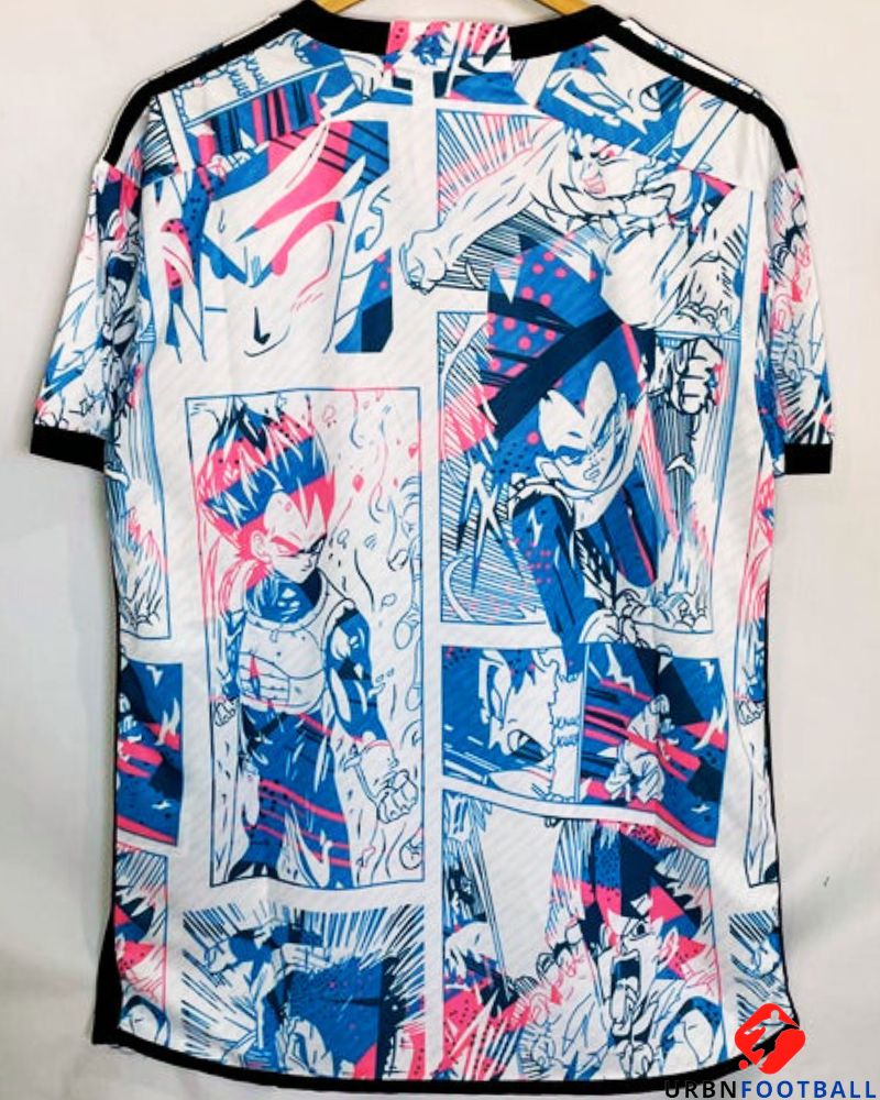 Japan 2022-2023 - Culture Dragonball