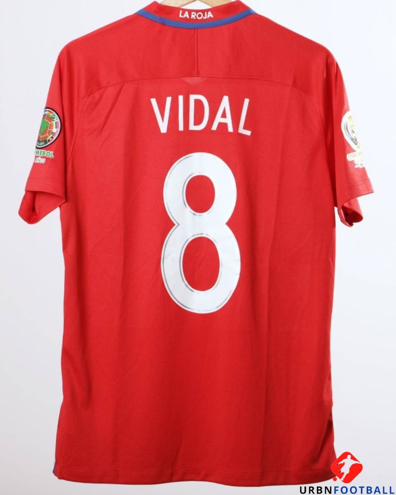 Chile 2016-2017 - Vidal Arturo