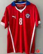 Chile 2014-2015 - Vidal Arturo