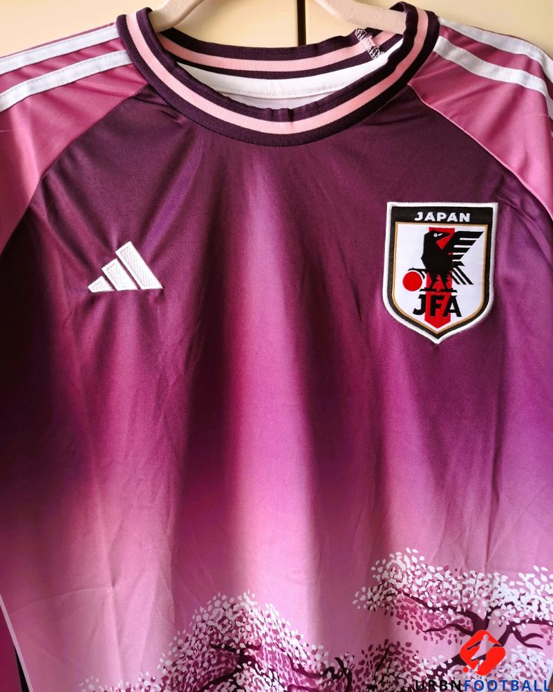 Japan 2024-2025 - Culture Sakura