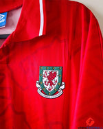 Wales 1992-1993 - Giggs Ryan