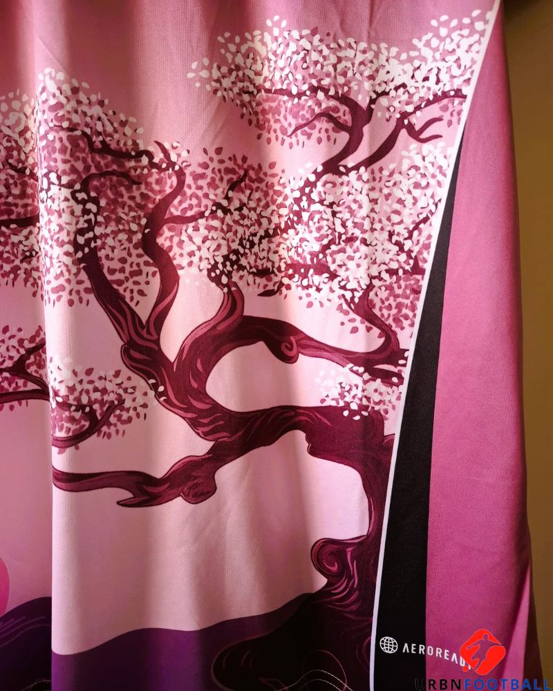 Japan 2024-2025 - Culture Sakura