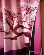 Japan 2024-2025 - Culture Sakura