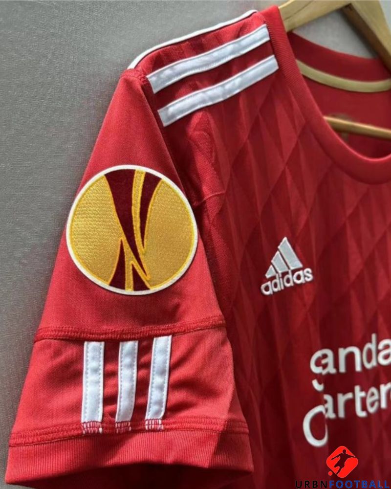 Liverpool 2010-2011 - Torres Fernando