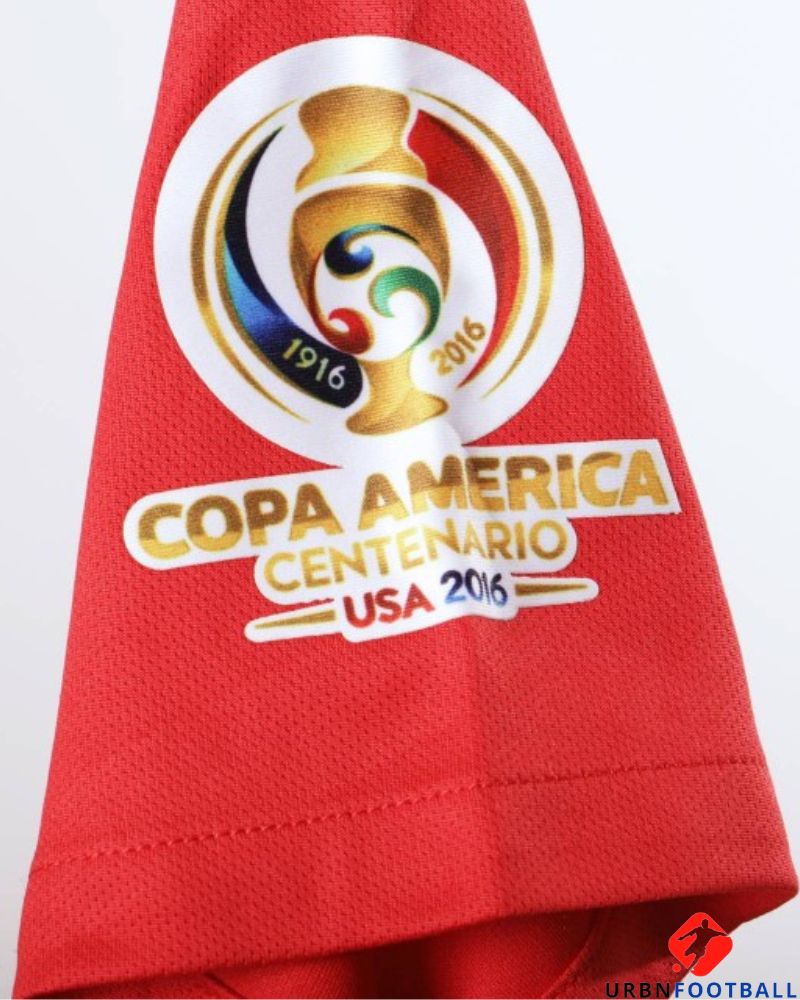 Chile 2016-2017 - Vidal Arturo