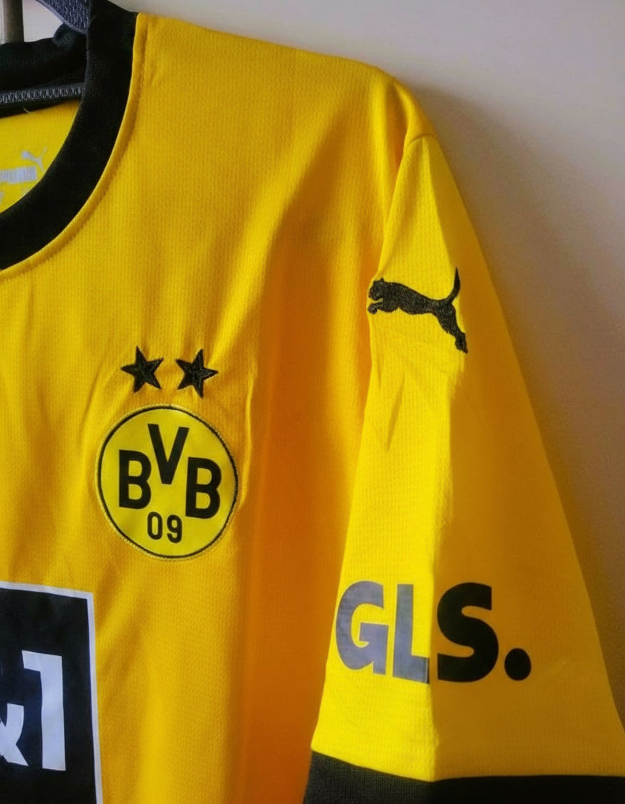 Borussia Dortmund 2023-2024 - Reus Marco