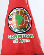 Chile 2016-2017 - Vidal Arturo