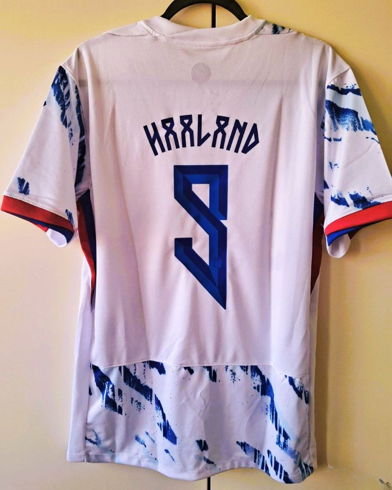 Haaland Erling 202425 Nord 2024-2025