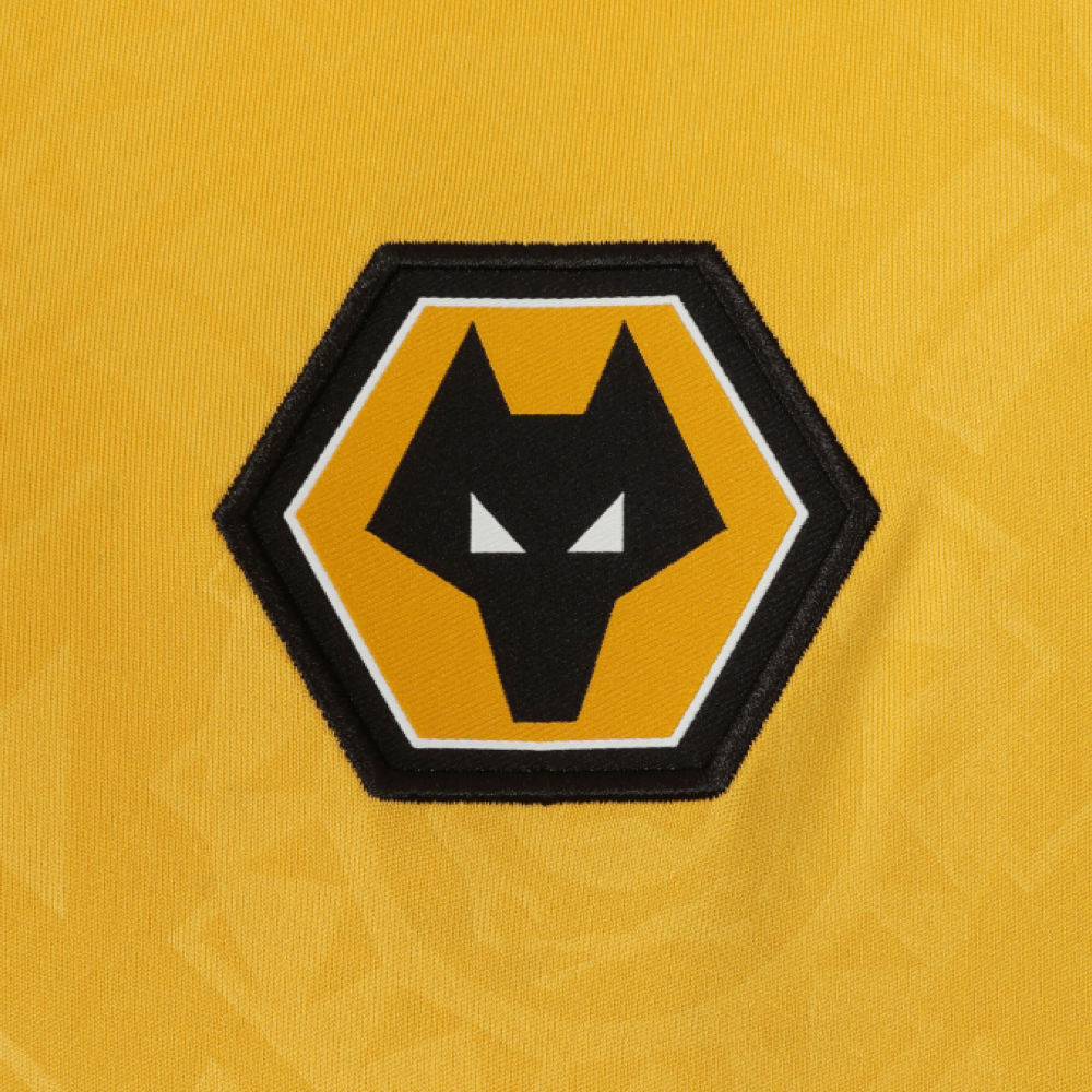 Wolverhampton Wanderers 2025-2026