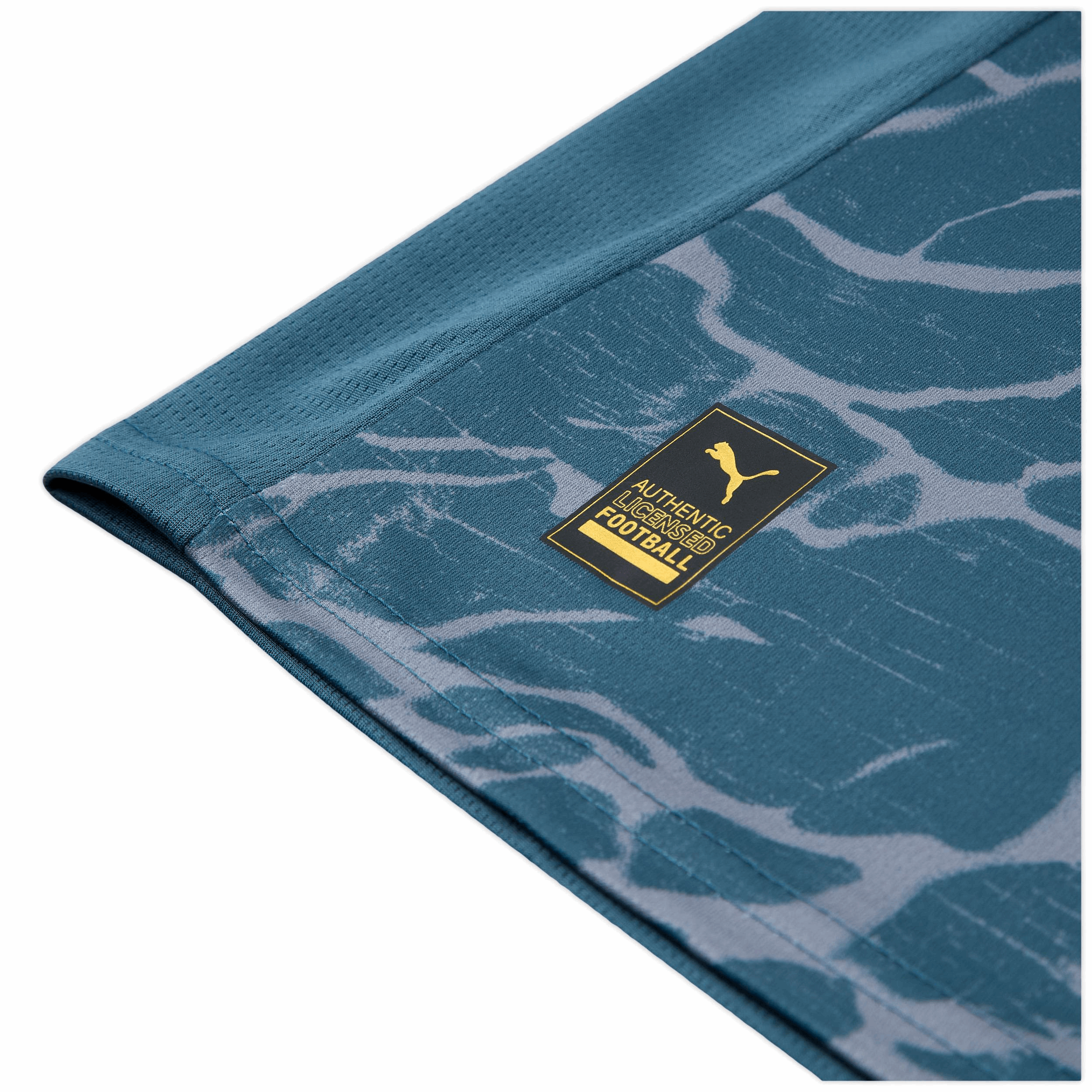 Shakhtar Donetsk 2025-2026