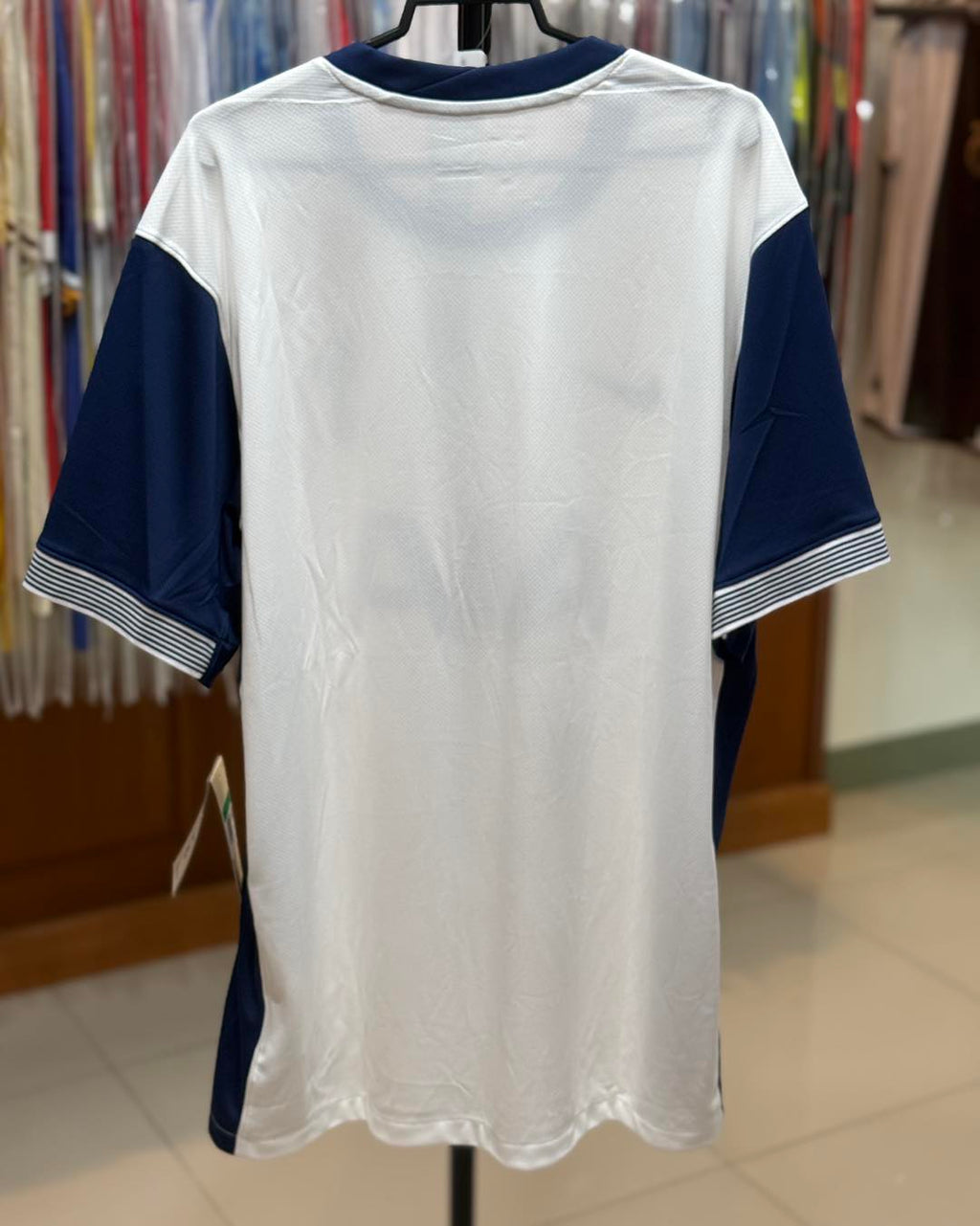 Tottenham Hotspur 2024-2025