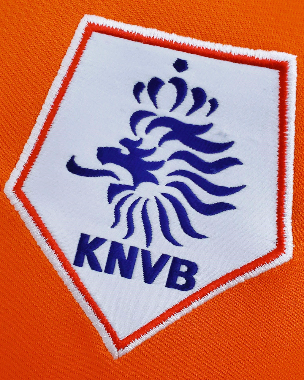 Netherlands 2008-2009 - Van Persie Robin