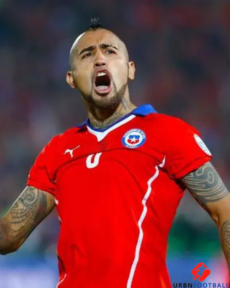 Chile 2014-2015 - Vidal Arturo