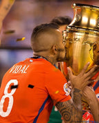 Chile 2016-2017 - Vidal Arturo