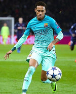 Neymar Jr 201617 Barra 2016-2017