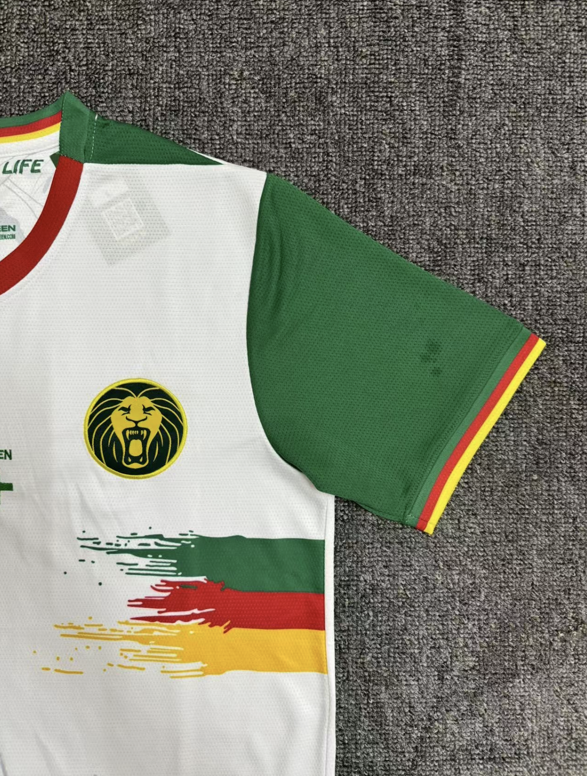 Cameroon 2025-2026