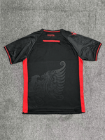 Albania 2025-2026