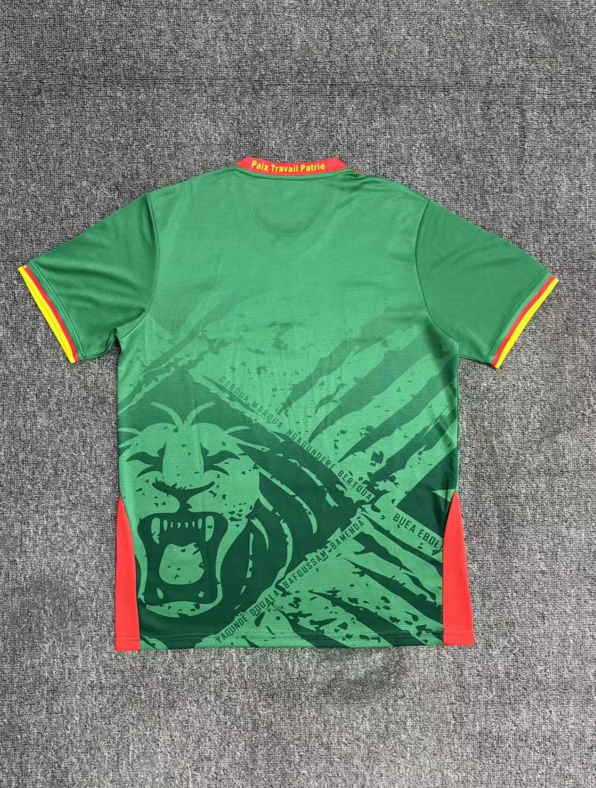 Cameroon 2025-2026