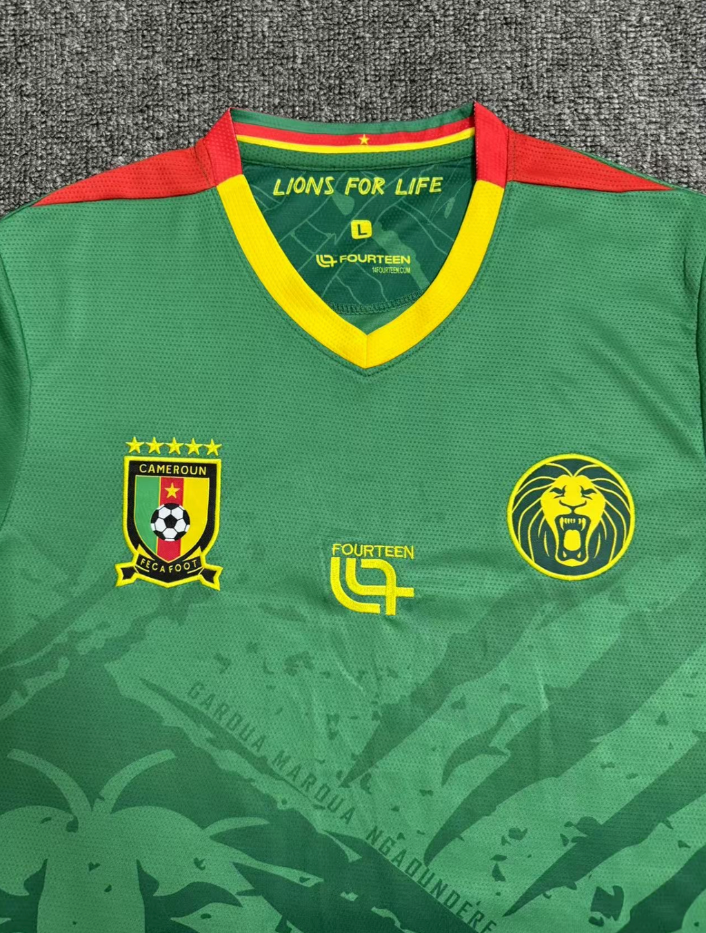 Cameroon 2025-2026