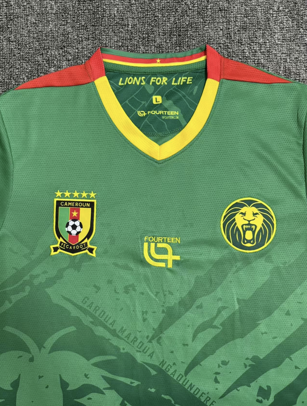 Cameroon 2025-2026