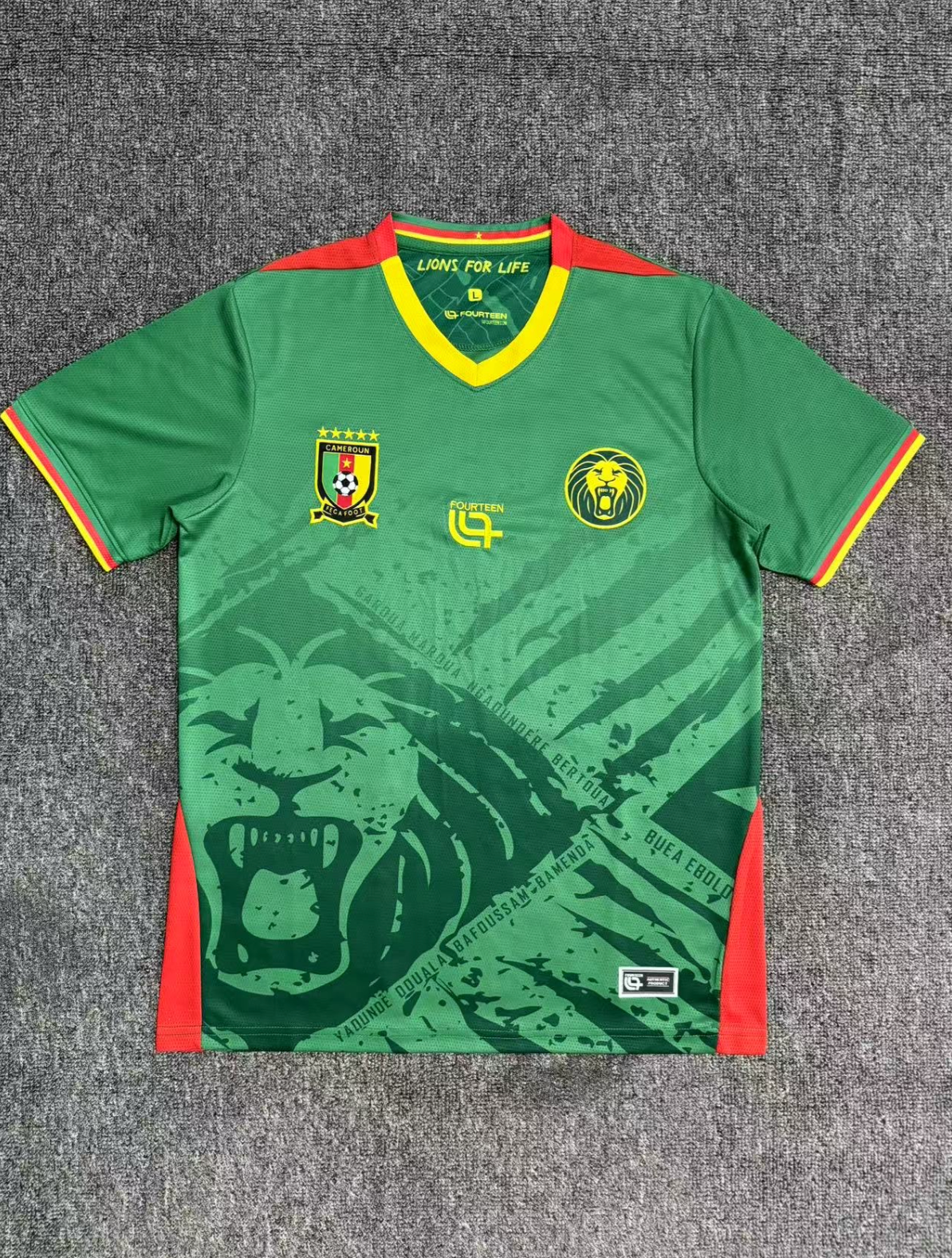 Cameroon 2025-2026
