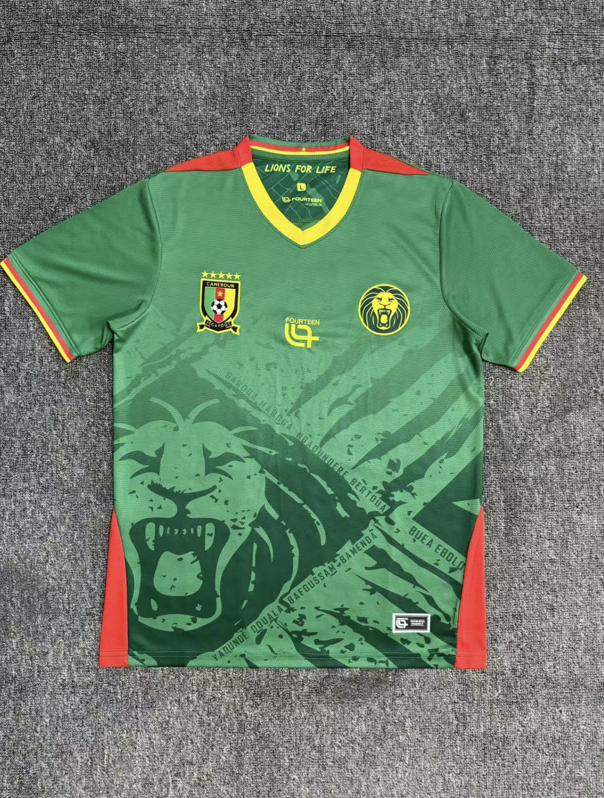 Cameroon 2025-2026