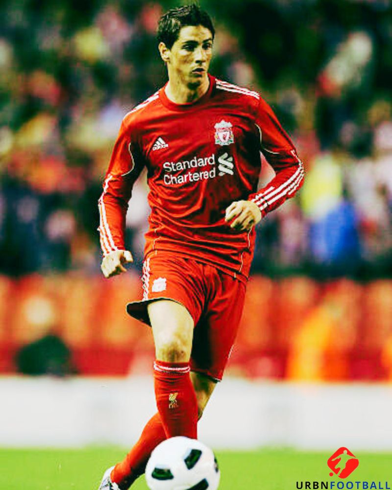 Liverpool 2010-2011 - Torres Fernando