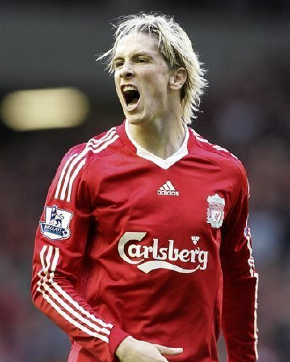 Liverpool 2009-2010 - Torres Fernando