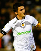 Villa David 200910 Elezioni 2009-2010