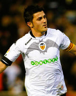 Villa David 200910 Elezioni 2009-2010
